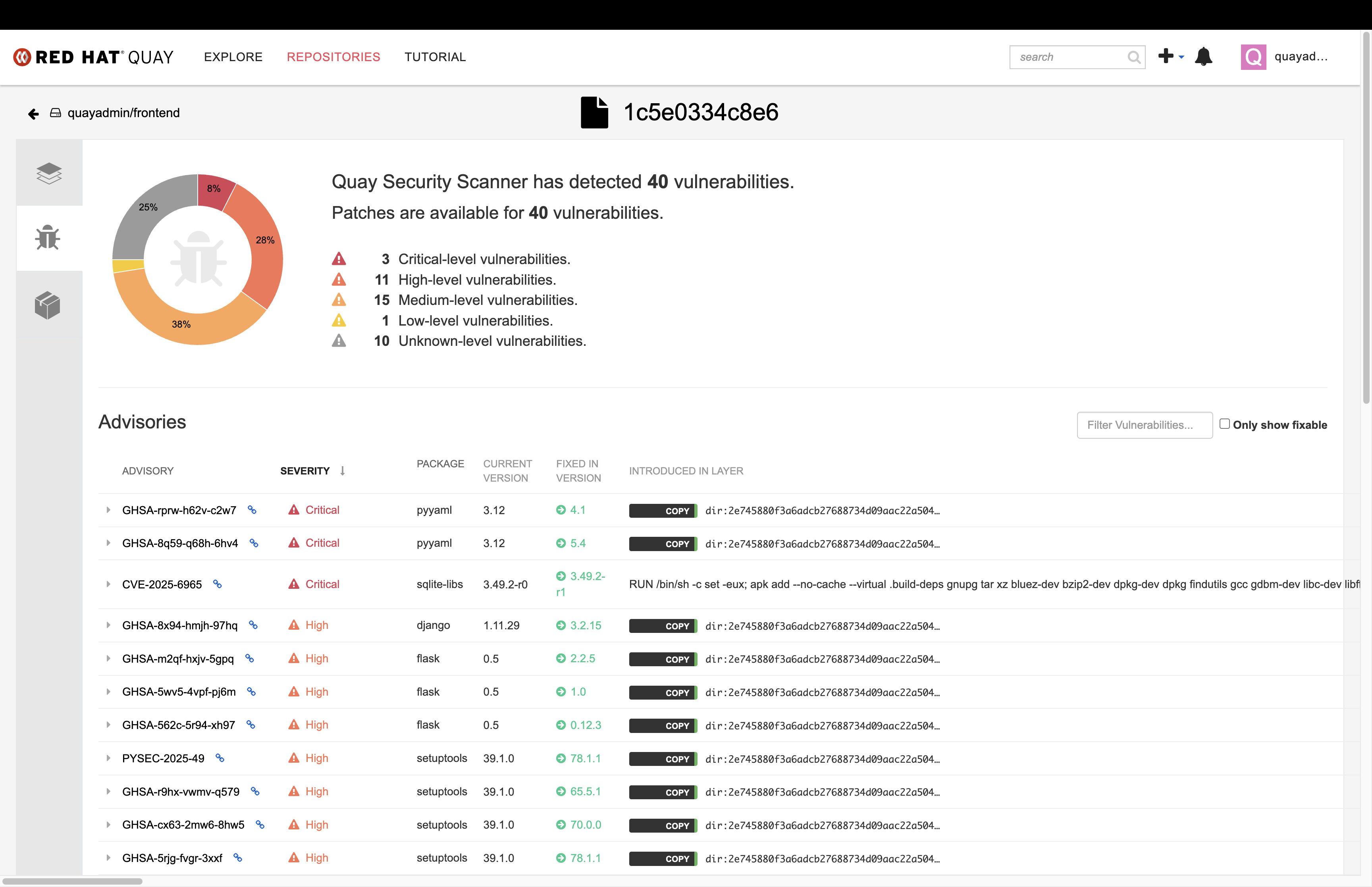 00 quay vuln overview