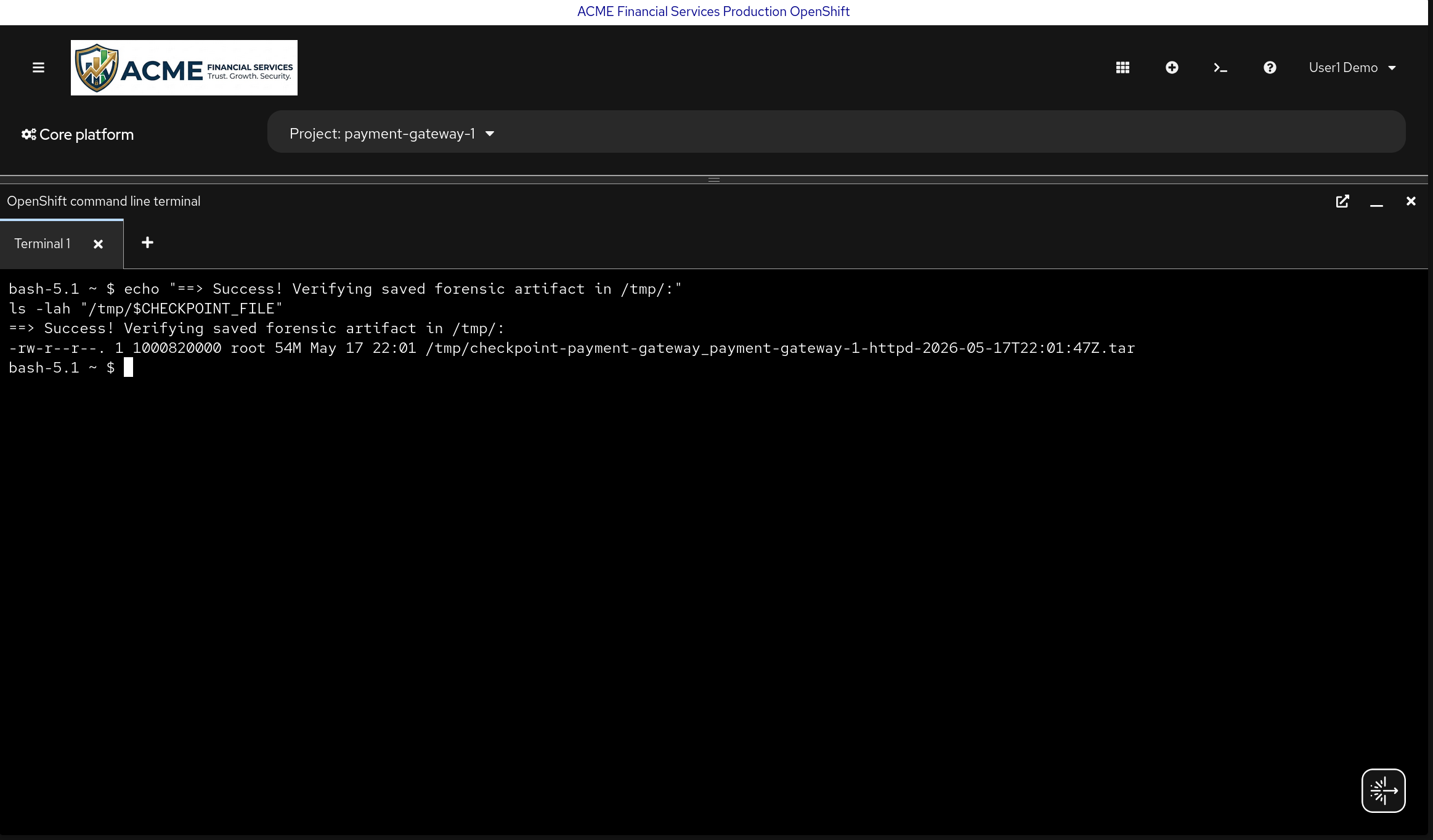 CRIU checkpoint archive